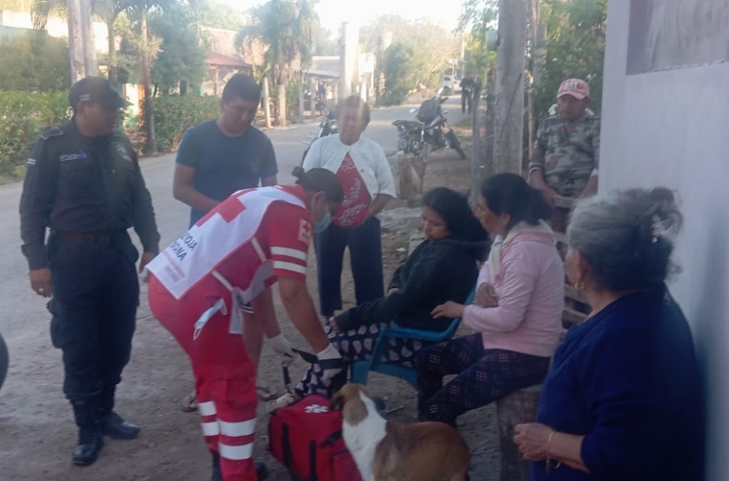 Acaban en el hospital motociclista y acompañante, por atravesarse perro en su camino