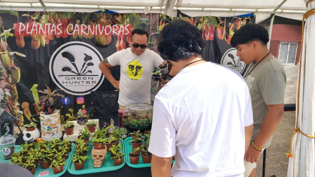 Se aproxima evento acuático en el Zoológico de Tizimín