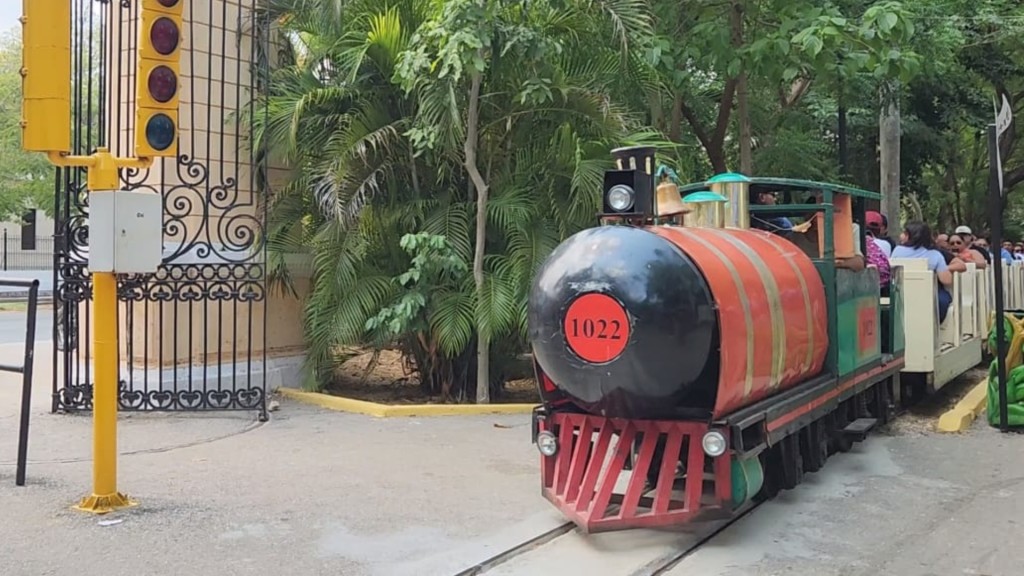 Anuncian suspensión indefinida del trenecito del Centenario