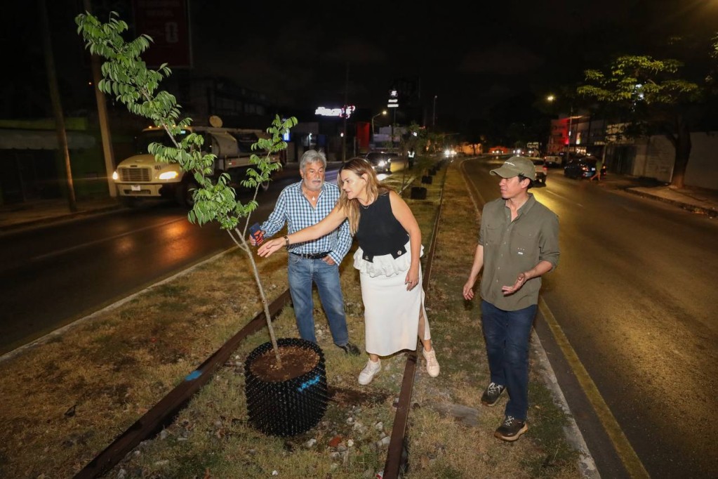 Inician trabajos de arborización en Circuito Colonias Poniente