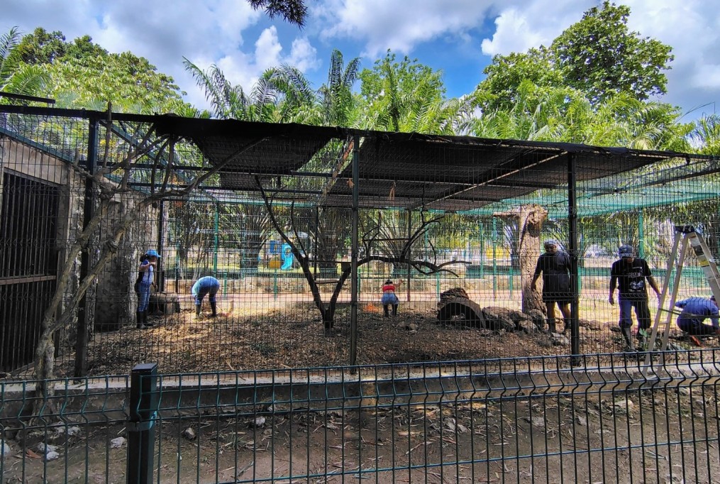 Realizan trabajos de limpieza en techos de jaulas del zoológico de Tizimín