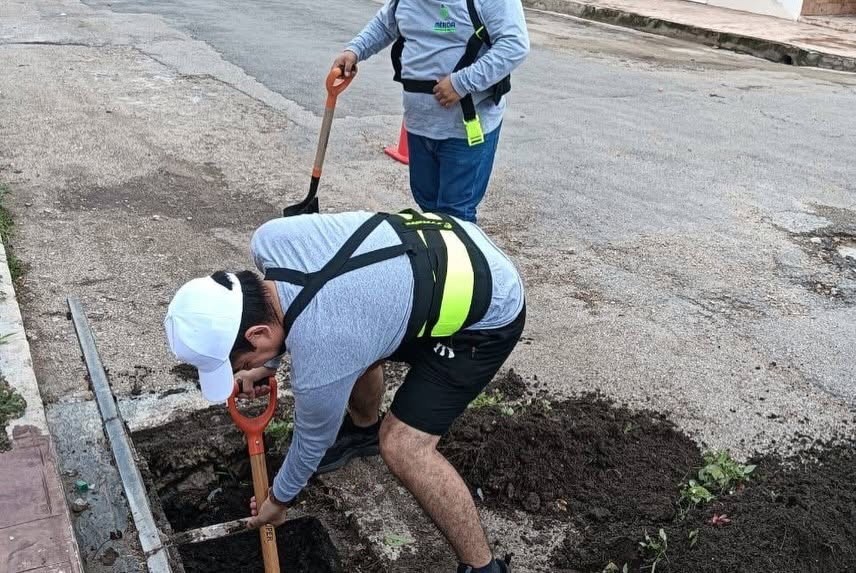 Avanza limpieza de rejillas con la atención de 200 colonias, en Mérida