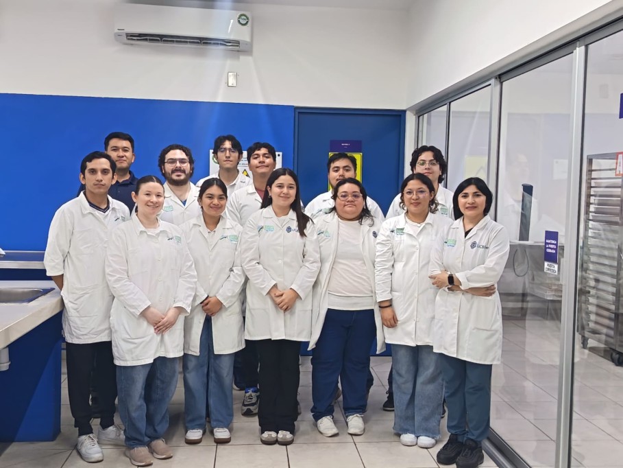 Desde noviembre lanzaron en Yucatán Mosquitos Wolbachia o Mosquitos Buenos