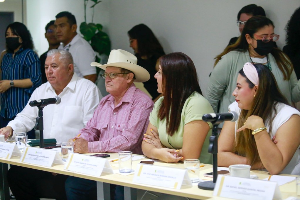 Comisiones Unidas del Congreso avanzan en el proceso de consulta a personas con discapacidad