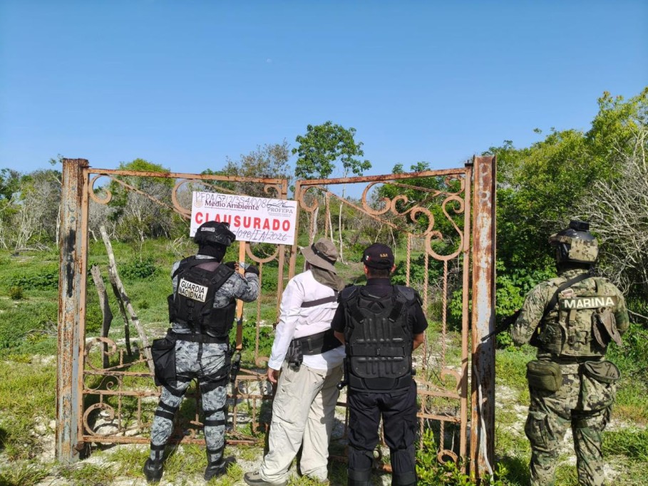 Clausura Profepa 17 polígonos en la Reserva de la Biosfera Ría Celestún