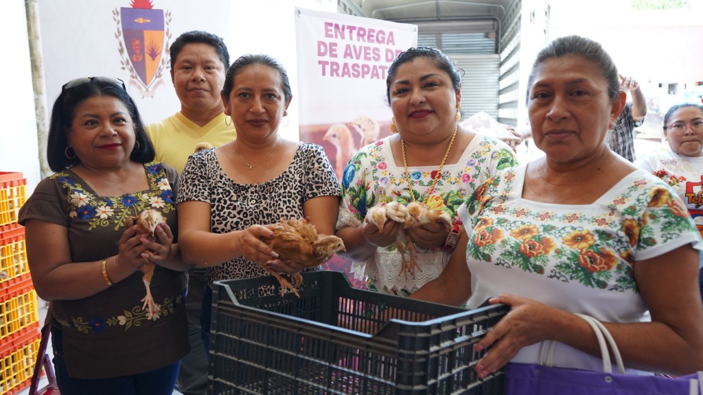 Asegura Gobierno del Estado bienestar alimentario de familias yucatecas
