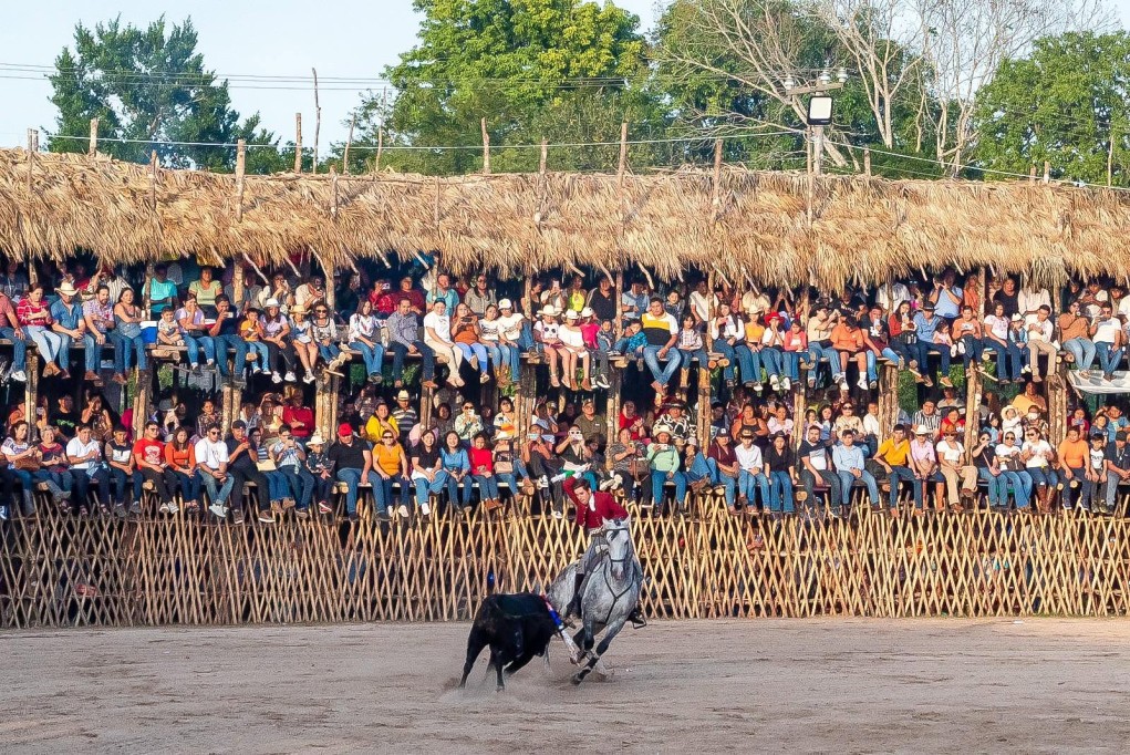 Promueven amparos Animal Héroes y PETA Latino para no permitir corridas en Yucatán y ya cancelaron en varios municipios