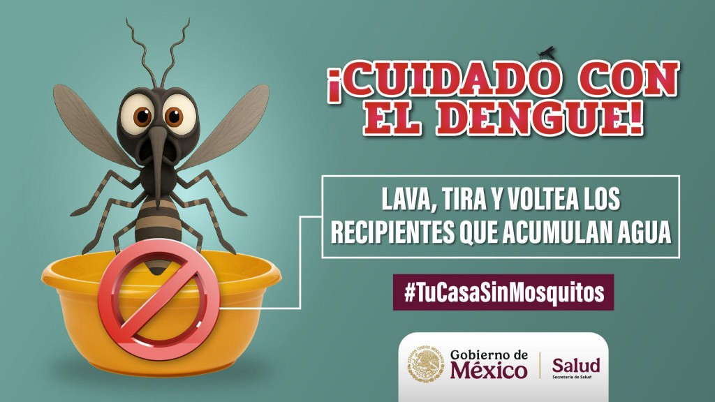 Recuerdan importancia eliminar criaderos de moscos, ante intensidad de las lluvias