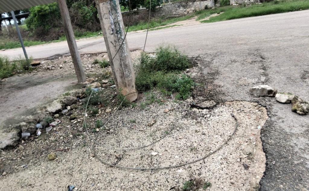 Se electrocuta y muere un perro tras reventarse cables de alta tensión, en Moctezuma