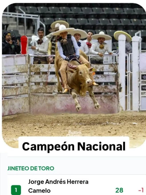 Se corona Campeón Nacional de Charrería joven de Panabá, en jineteo de toro