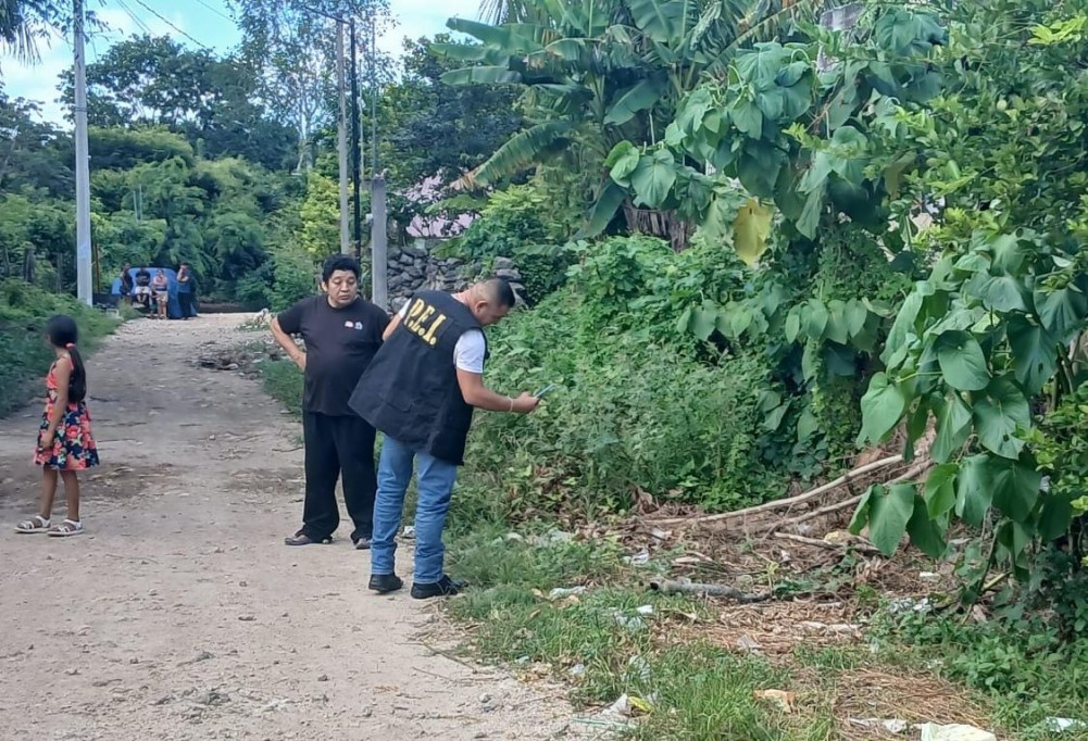 Mueren un perro y dos gatos por presunto envenenamiento, en Tizimín