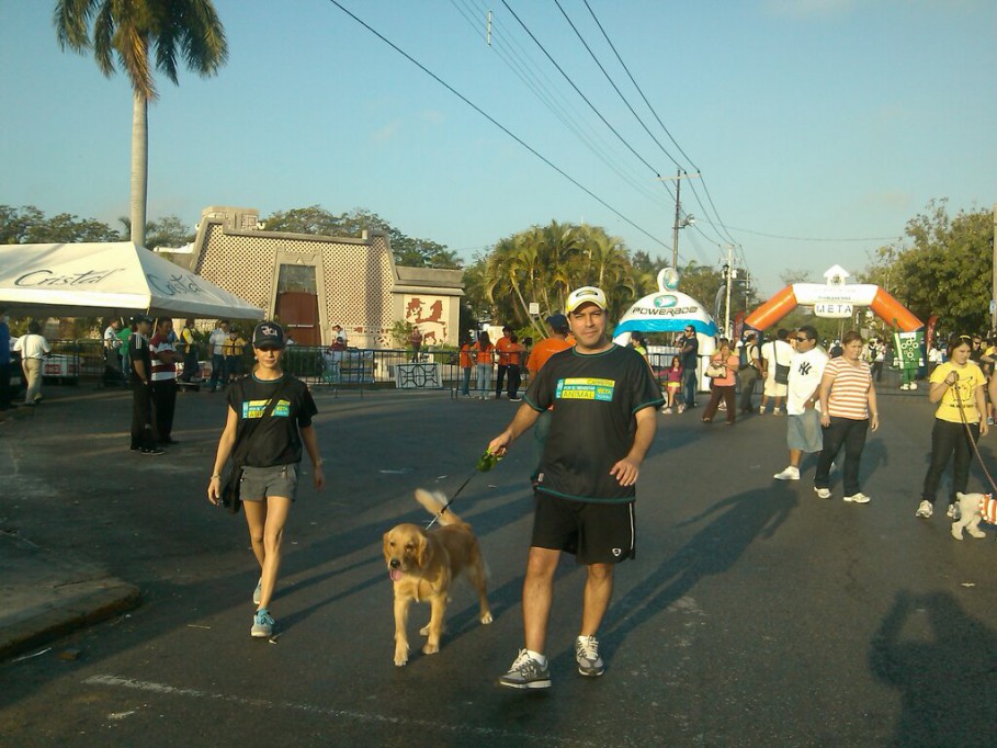 El diputado Mauricio Vila Dosal participa en caminata a favor de los animales
