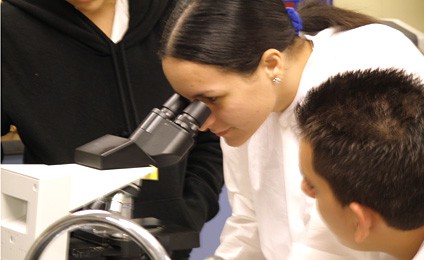 Primer curso en Yucatán para detectar mircroorganismos útiles en biotecnología.