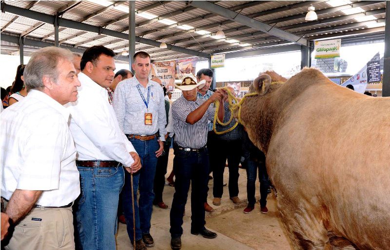 Con el incremento del fondo ixmatkuil- reyes se apoya a la ganadería local 