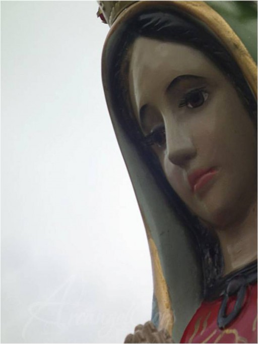 Bajan la imagen de la virgen de Guadalupe en San Cristóbal