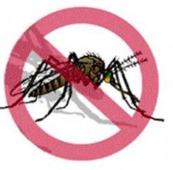 El DIF Yucatán se suma a la campaña contra el dengue
